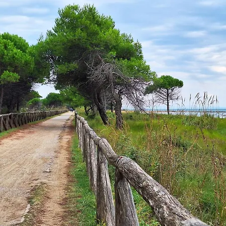 Comfy Sea View In *